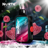 North (12000 Puffs) Frozen Raspberry 5% Nic