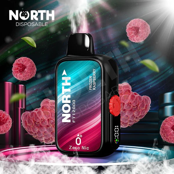 North (12000 Puffs) Frozen Raspberry 5% Nic