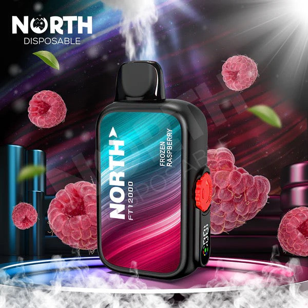 North (12000 Puffs) Frozen Raspberry 5% Nic
